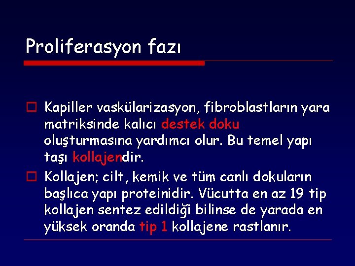 Proliferasyon fazı o Kapiller vaskülarizasyon, fibroblastların yara matriksinde kalıcı destek doku oluşturmasına yardımcı olur.