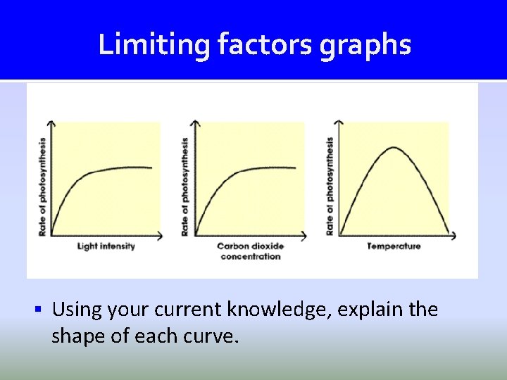 Limiting factors graphs § Using your current knowledge, explain the shape of each curve. Limiting factors graphs § Using your current knowledge, explain the shape of each curve.