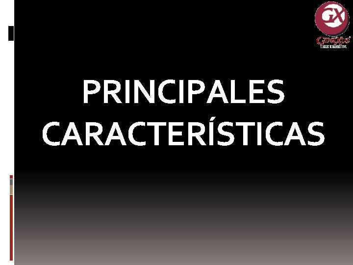 PRINCIPALES CARACTERÍSTICAS 