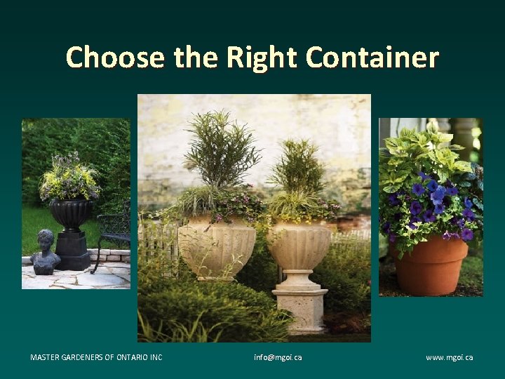 Choose the Right Container MASTER GARDENERS OF ONTARIO INC info@mgoi. ca www. mgoi. ca Choose the Right Container MASTER GARDENERS OF ONTARIO INC info@mgoi. ca www. mgoi. ca