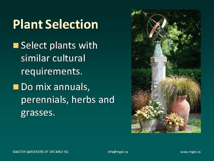 Plant Selection n Select plants with similar cultural requirements. n Do mix annuals, perennials, Plant Selection n Select plants with similar cultural requirements. n Do mix annuals, perennials,