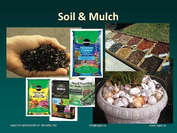 Soil & Mulch MASTER GARDENERS OF ONTARIO INC info@mgoi. ca www. mgoi. ca Soil & Mulch MASTER GARDENERS OF ONTARIO INC info@mgoi. ca www. mgoi. ca