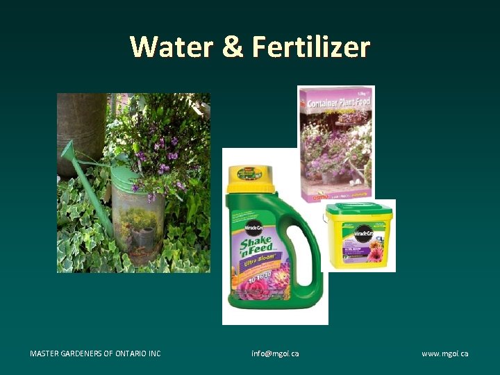 Water & Fertilizer MASTER GARDENERS OF ONTARIO INC info@mgoi. ca www. mgoi. ca Water & Fertilizer MASTER GARDENERS OF ONTARIO INC info@mgoi. ca www. mgoi. ca