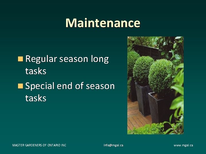 Maintenance n Regular season long tasks n Special end of season tasks MASTER GARDENERS Maintenance n Regular season long tasks n Special end of season tasks MASTER GARDENERS