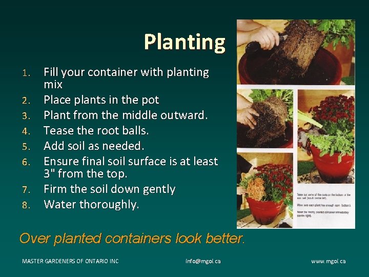 Planting 1. 2. 3. 4. 5. 6. 7. 8. Fill your container with planting Planting 1. 2. 3. 4. 5. 6. 7. 8. Fill your container with planting