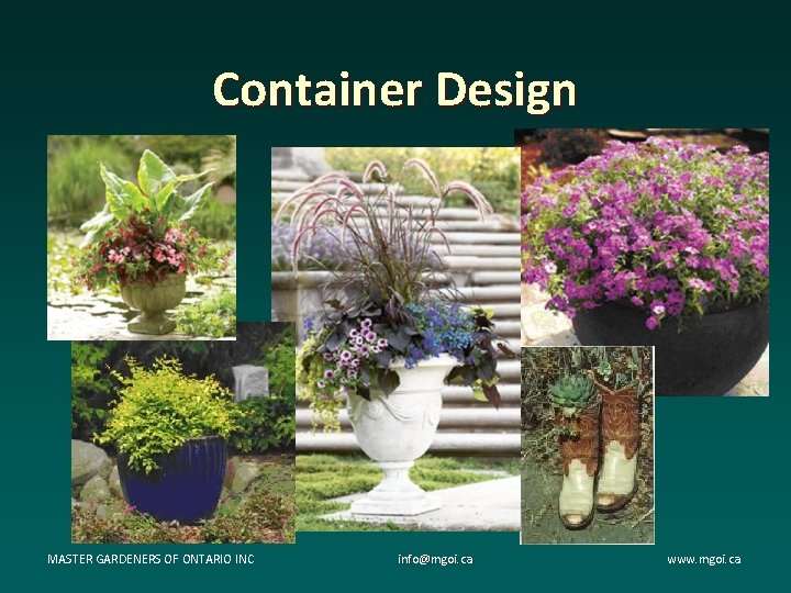 Container Design MASTER GARDENERS OF ONTARIO INC info@mgoi. ca www. mgoi. ca Container Design MASTER GARDENERS OF ONTARIO INC info@mgoi. ca www. mgoi. ca