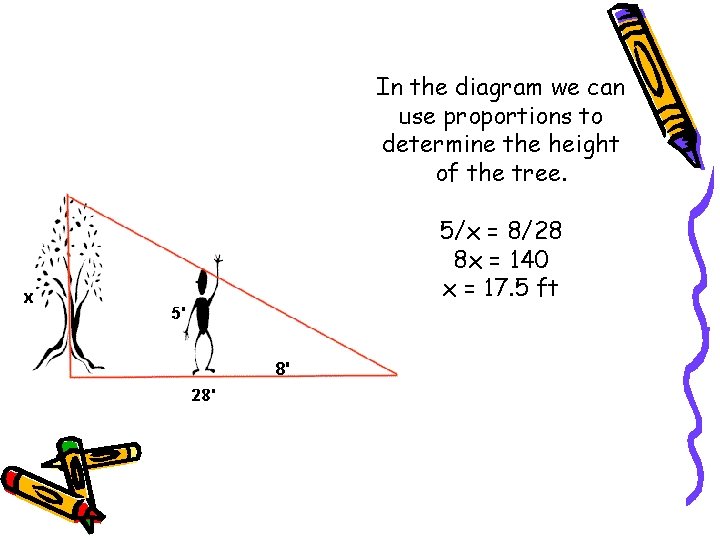 In the diagram we can use proportions to determine the height of the tree.