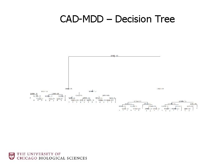 CAD-MDD – Decision Tree 