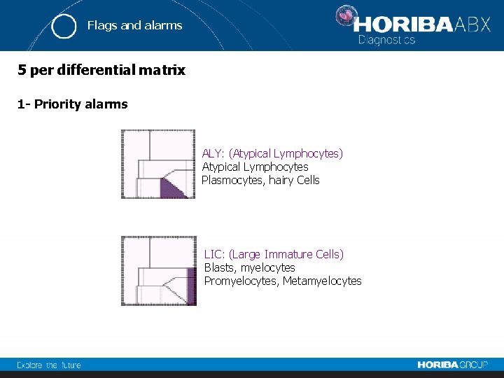 Flags and alarms 5 per differential matrix 1 - Priority alarms ALY: (Atypical Lymphocytes)