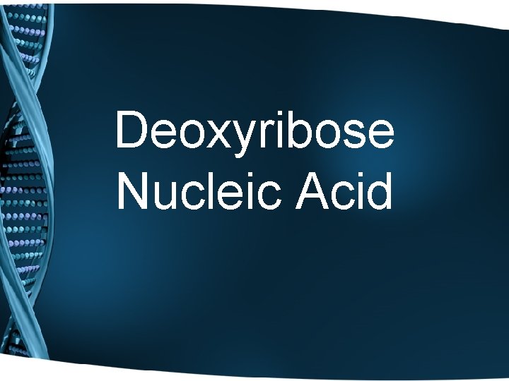 Deoxyribose Nucleic Acid 