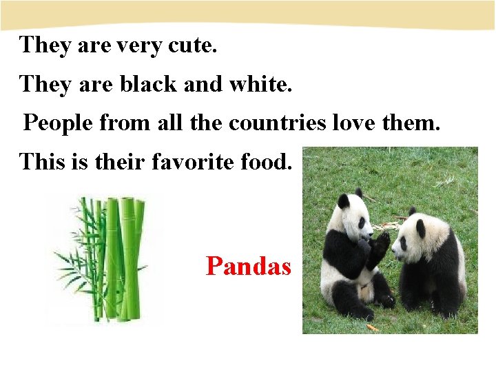 They are very cute. They are black and white. People from all the countries
