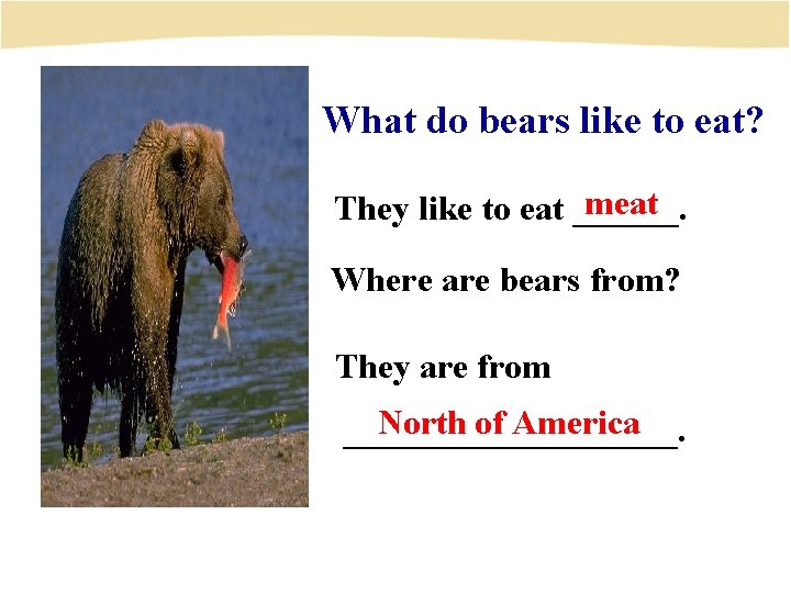 What do bears like to eat? meat They like to eat ______. Where are