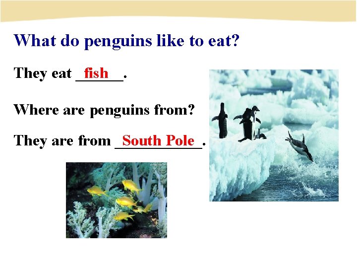 What do penguins like to eat? They eat ______. fish Where are penguins from?