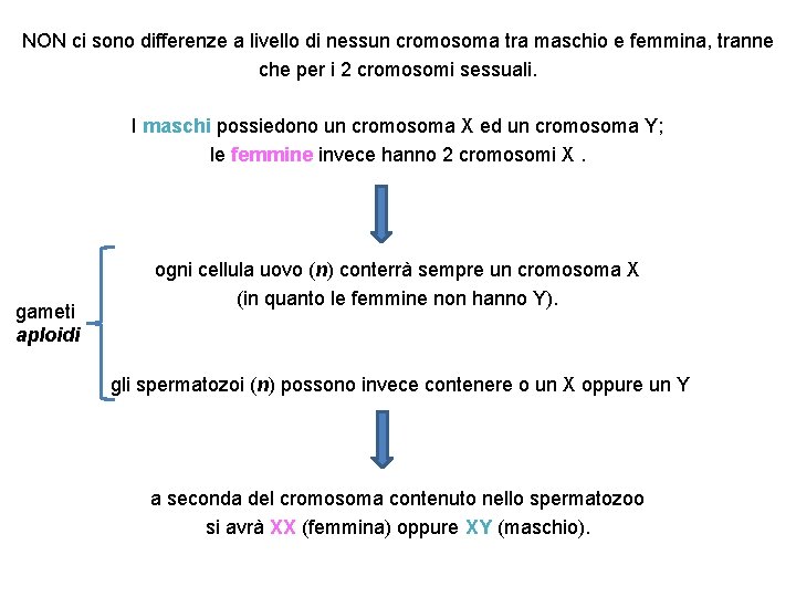NON ci sono differenze a livello di nessun cromosoma tra maschio e femmina, tranne