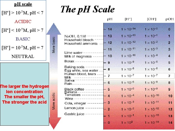 p. H scale [H+] > 10 -7 M, p. H < 7 ACIDIC [H+]