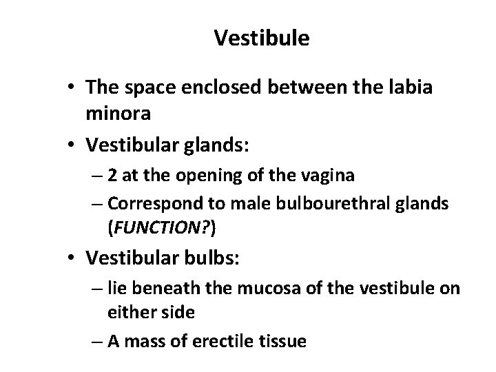 Vestibule • The space enclosed between the labia minora • Vestibular glands: – 2