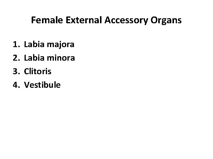 Female External Accessory Organs 1. 2. 3. 4. Labia majora Labia minora Clitoris Vestibule