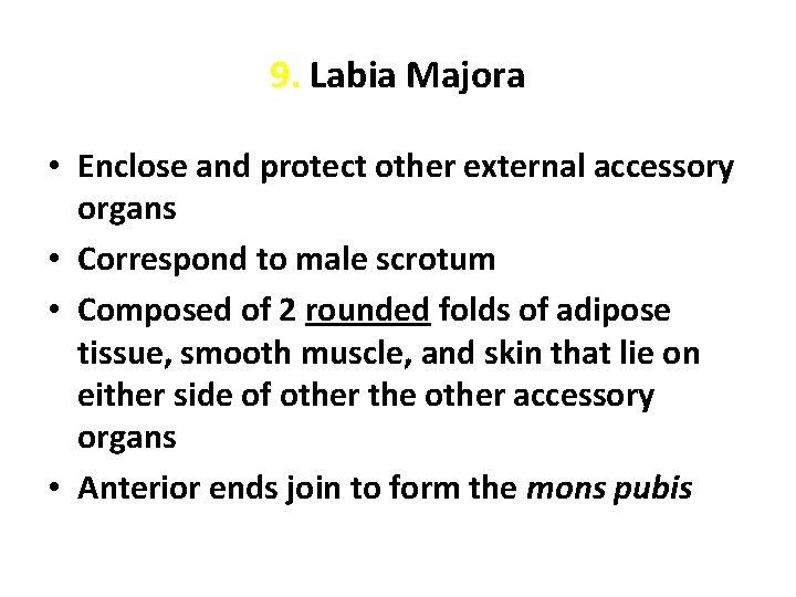 9. Labia Majora • Enclose and protect other external accessory organs • Correspond to