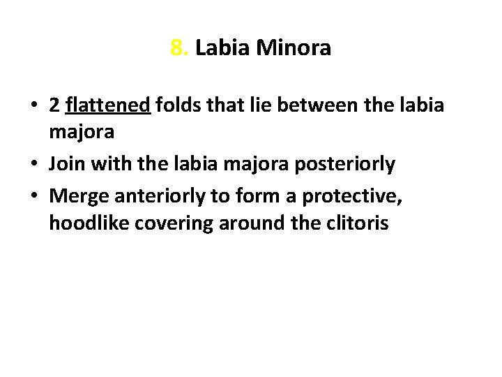 8. Labia Minora • 2 flattened folds that lie between the labia majora •