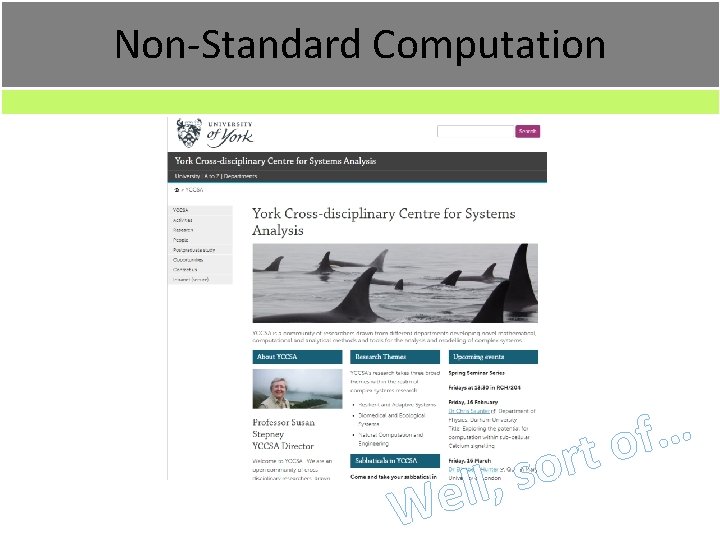 Non-Standard Computation s , l l e W … f o t r o