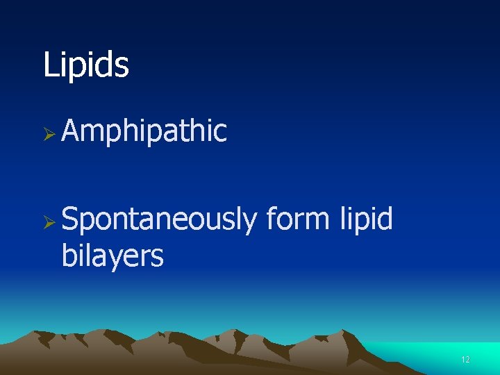 Lipids Ø Ø Amphipathic Spontaneously form lipid bilayers 12 