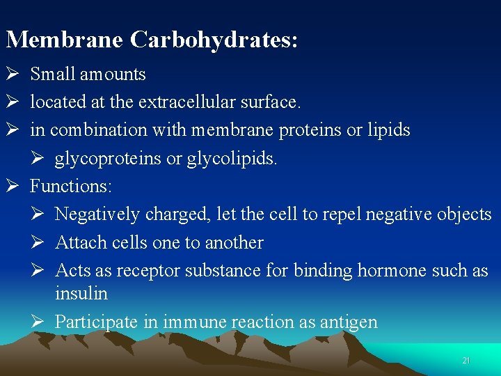 Membrane Carbohydrates: Ø Small amounts Ø located at the extracellular surface. Ø in combination