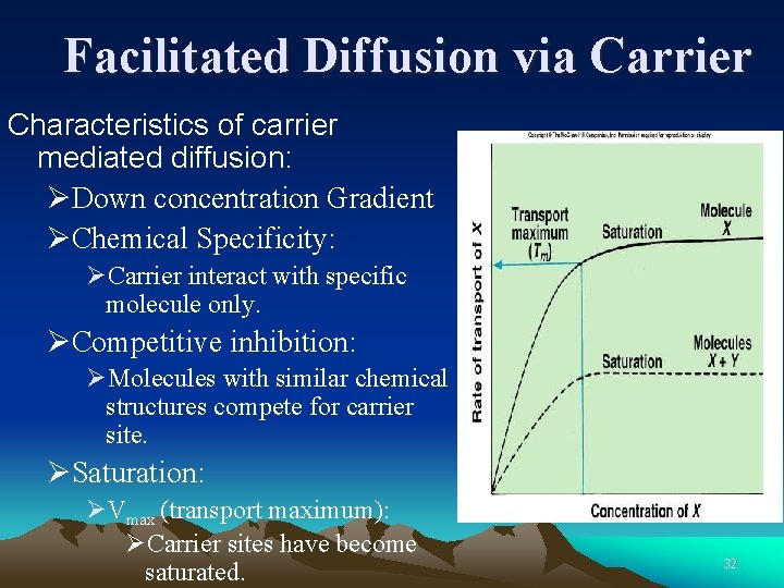 Facilitated Diffusion via Carrier Characteristics of carrier mediated diffusion: ØDown concentration Gradient ØChemical Specificity: