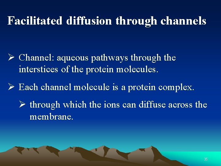 Facilitated diffusion through channels Ø Channel: aqueous pathways through the interstices of the protein