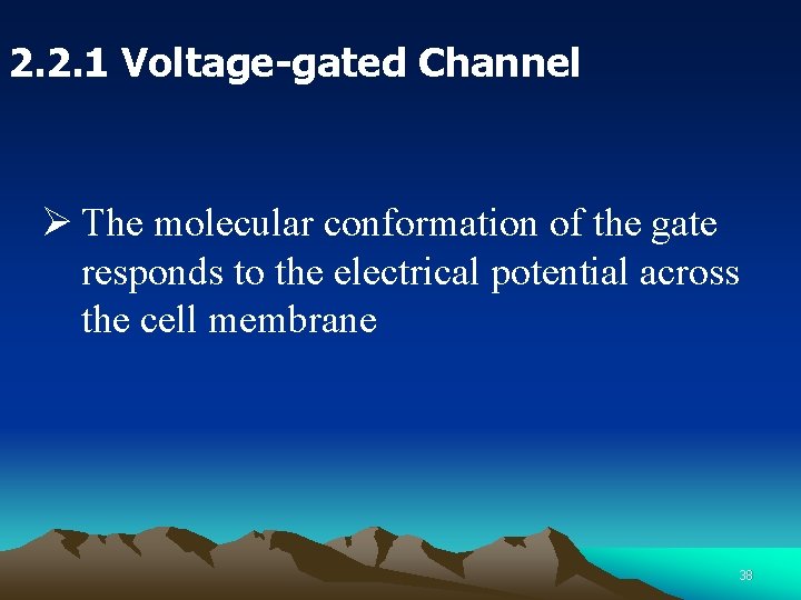 2. 2. 1 Voltage-gated Channel Ø The molecular conformation of the gate responds to