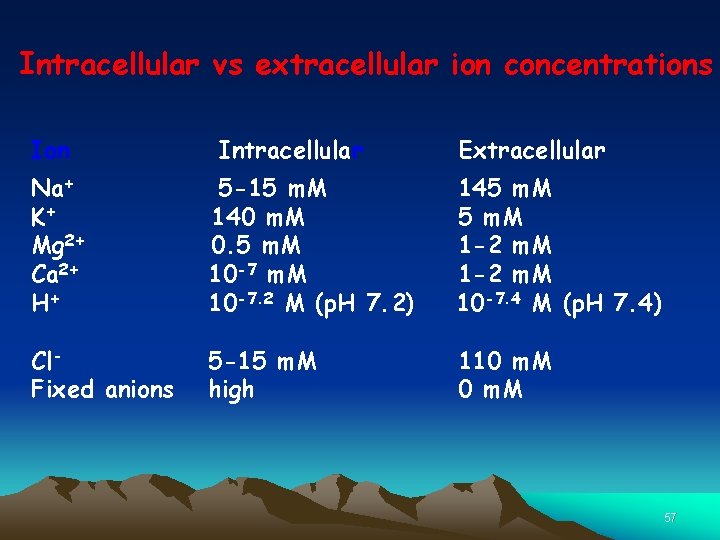 Intracellular vs extracellular ion concentrations Ion Intracellular Extracellular Na+ K+ Mg 2+ Ca 2+
