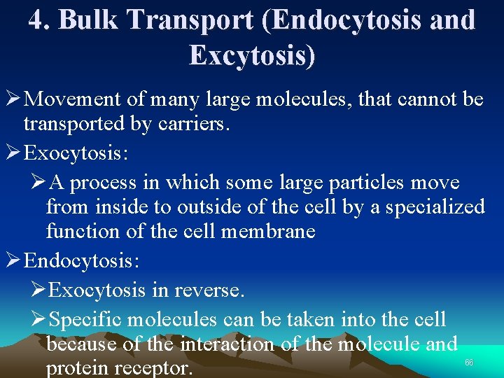 4. Bulk Transport (Endocytosis and Excytosis) Ø Movement of many large molecules, that cannot
