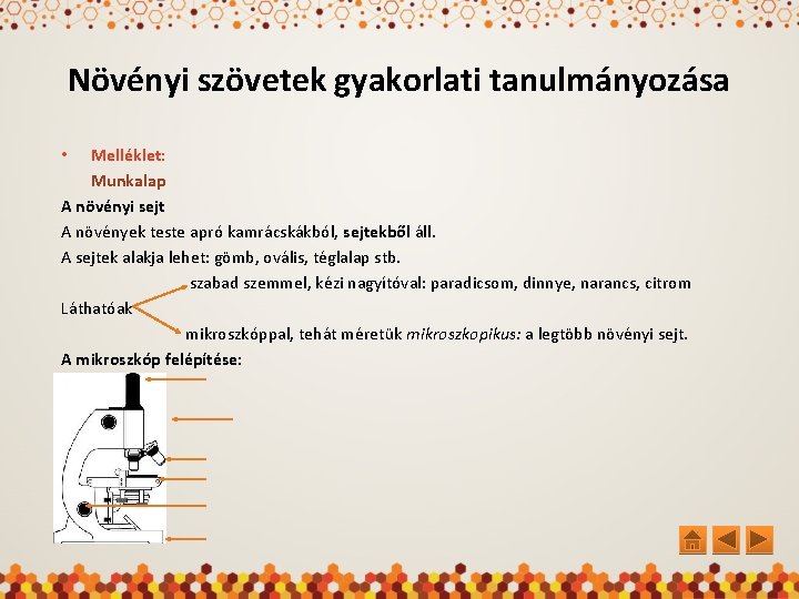 Növényi szövetek gyakorlati tanulmányozása Melléklet: Munkalap A növényi sejt A növények teste apró kamrácskákból,