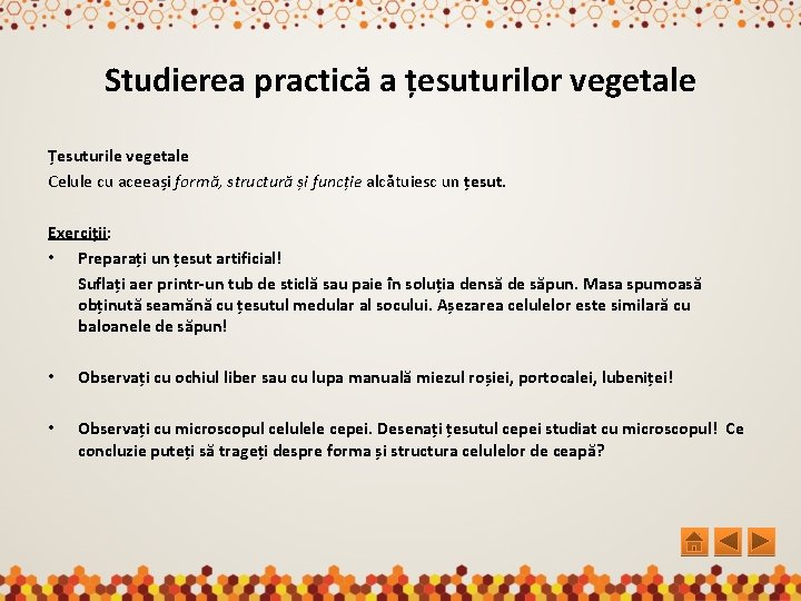 Studierea practică a țesuturilor vegetale Țesuturile vegetale Celule cu aceeași formă, structură și funcție