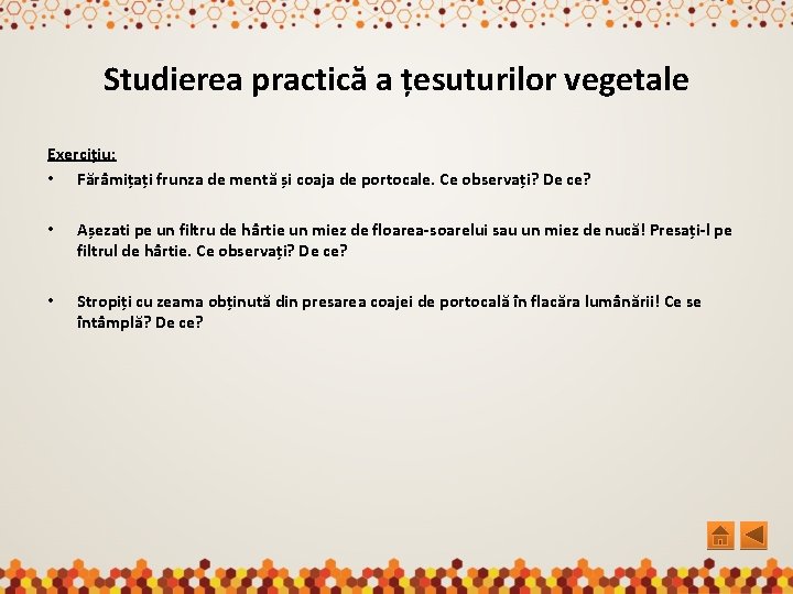 Studierea practică a țesuturilor vegetale Exercițiu: • Fărâmițați frunza de mentă și coaja de