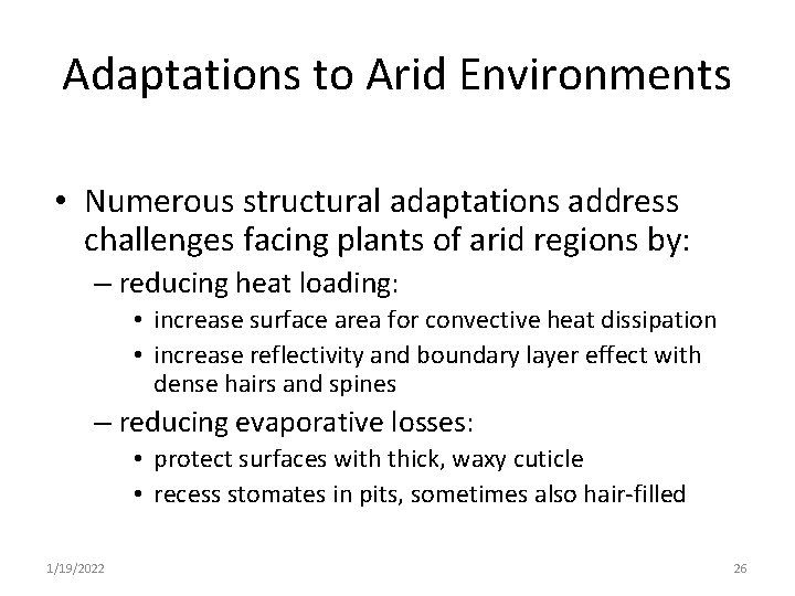 Adaptations to Arid Environments • Numerous structural adaptations address challenges facing plants of arid