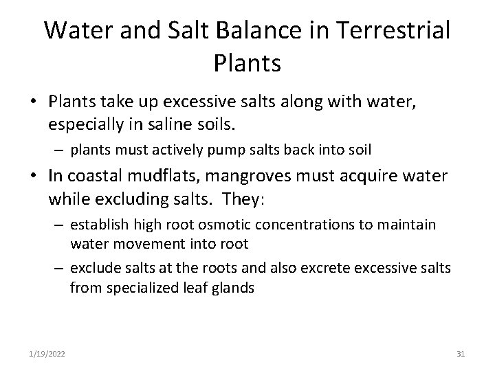 Water and Salt Balance in Terrestrial Plants • Plants take up excessive salts along