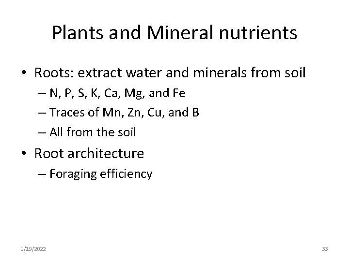 Plants and Mineral nutrients • Roots: extract water and minerals from soil – N,