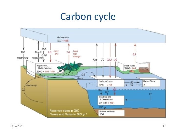 Carbon cycle 1/19/2022 35 