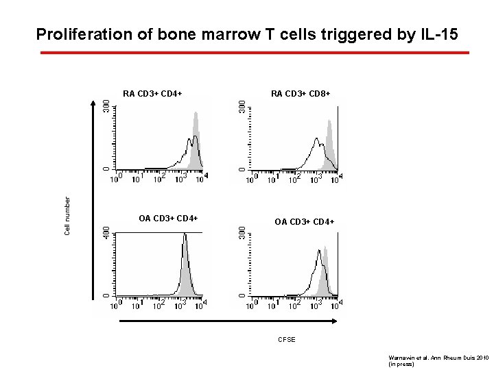 Proliferation of bone marrow T cells triggered by IL-15 + CD 4+ RACD 3+