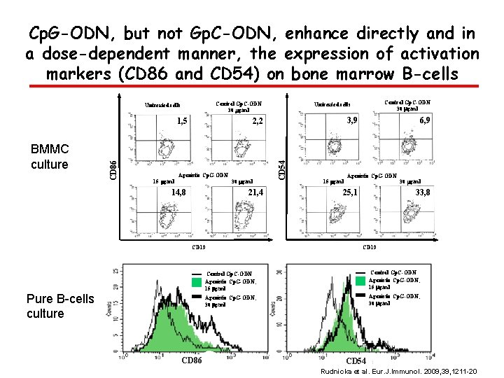 Cp. G-ODN, but not Gp. C-ODN, enhance directly and in a dose-dependent manner, the