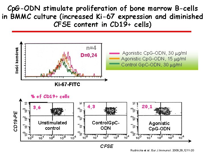 Cp. G-ODN stimulate proliferation of bone marrow B-cells in BMMC culture (increased Ki-67 expression
