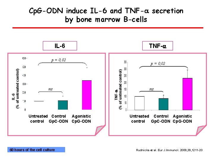 Cp. G-ODN induce IL-6 and TNF-a secretion by bone marrow B-cells IL-6 TNF-a ns