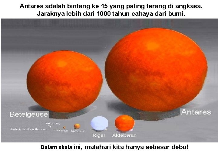 Antares adalah bintang ke 15 yang paling terang di angkasa. Jaraknya lebih dari 1000