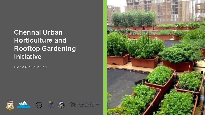 Chennai Urban Horticulture and Rooftop Gardening Initiative December 2019 