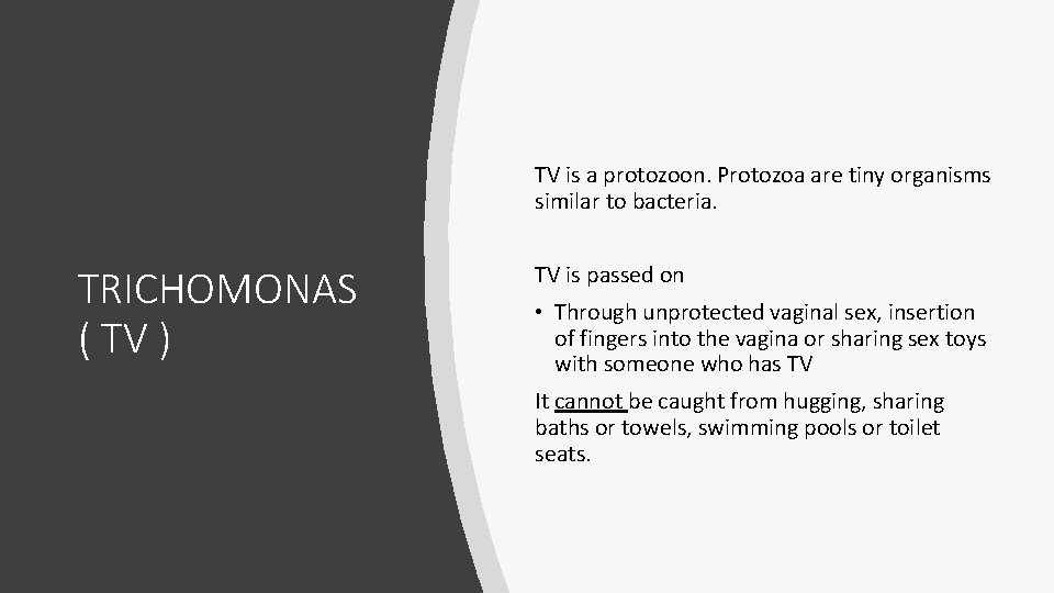 TV is a protozoon. Protozoa are tiny organisms similar to bacteria. TRICHOMONAS ( TV