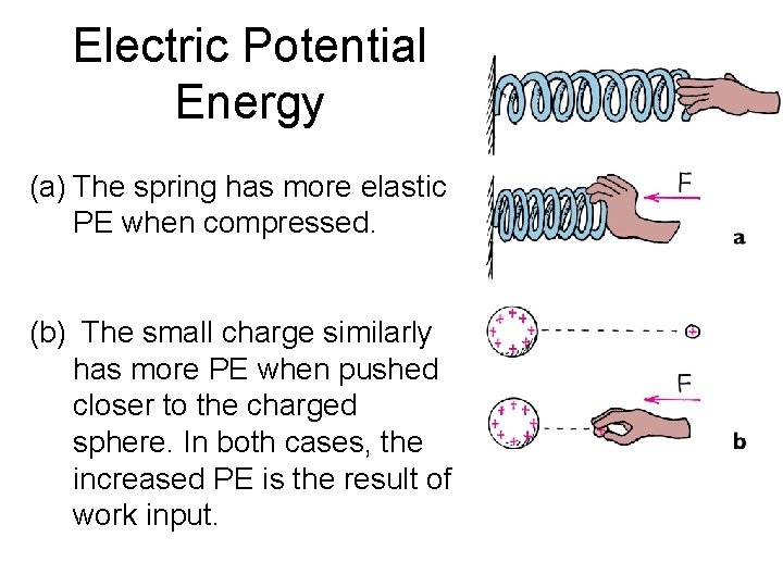 Electric Potential Energy (a) The spring has more elastic PE when compressed. (b) The