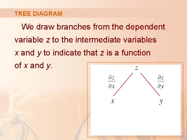 TREE DIAGRAM We draw branches from the dependent variable z to the intermediate variables