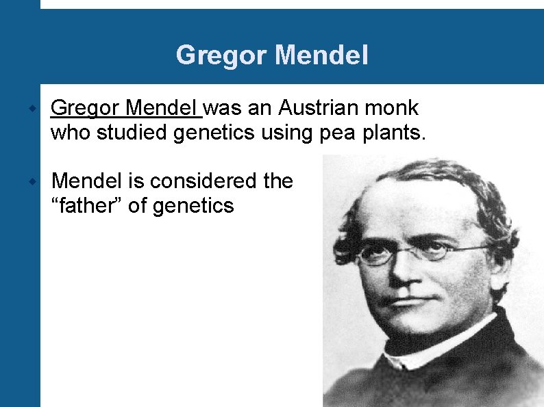 Gregor Mendel was an Austrian monk who studied genetics using pea plants. Mendel is