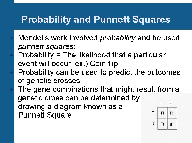 Probability and Punnett Squares Mendel’s work involved probability and he used punnett squares: Probability