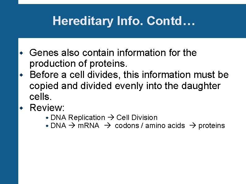 Hereditary Info. Contd… Genes also contain information for the production of proteins. Before a